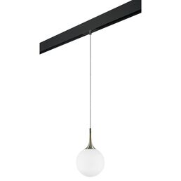 Трековый светильник подвесной Lightstar Globo PRO813021