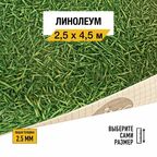 Линолеум напольный на отрез IVC, коллекции Neo, "Grass 025". Бытовой линолеум 2,5х4,5 м. для пола в рулоне 22 класса