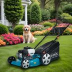 Газонокосилка бензиновая Oasis Garden Tools GB-32 6 л.с. 53 см