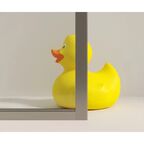 Душевая дверь в нишу Makiato WTW-OD-120-C-WE, 185x120 см хромированный профиль прозрачное стекло распашная