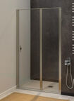 Душевая дверь 100 см Allen Brau Priority 3.31005.BA серебро