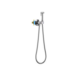 Встраиваемый смеситель с гигиеническим душем Aquatek Бетта AQ1023CR хром