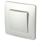 Выключатель встраиваемый Systeme Electric Blanca Сх1 1 клавиша цвет алюминий