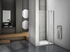 Душевая дверь Good Door  Mokka WTW-120-C-WE