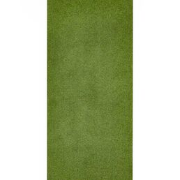 Искусственный газон «Grass» толщина 17 мм 1x2 м (рулон) цвет зеленый