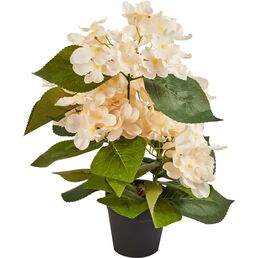 Искусственное растение в горшке Гортензия 5 соцветий 10x37 см цвет белый полиэстер