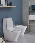 Напольный унитаз Jacob Delafon Rodin+ UJAB102-00