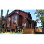 Пропитка для дерева лессирующая с антисептиком без запаха ProfiPaints SILVER WOOD STAIN 0.9л , Белый
