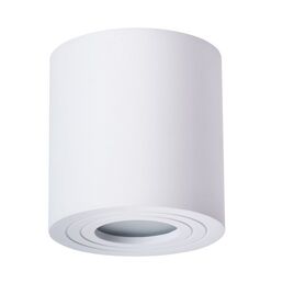 Потолочный светильник уличный IP44 Arte Lamp Galopin A1460PL-1WH