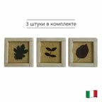 Декор керамический 2425 EVOLUTION BEIGE FOGLIE S/3(комплект 3 шт) 10х10 см