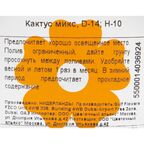 Кактус микс 14x10 см