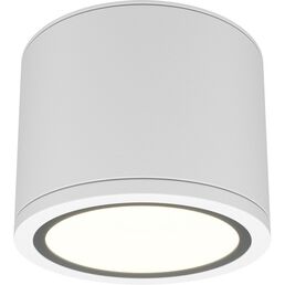 Накладной потолочный светильник влагостойкий Maytoni Rendo C095CL-GX53-W