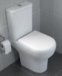 Унитаз Vitra Zentrum 9824B003-7207 с крышкой