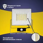 Прожектор светодиодный Ritter Profi 53423 9 70 Вт 7000 Лм 180-240В с датчиком движения холодный белый свет 6500К IP65 черный