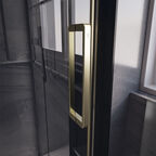Душевая дверь Veconi Premium Trento 130х200 PTD40-G-130-01-C4  стекло прозрачное, профиль золото