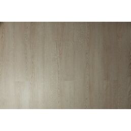 Виниловый пол Tarkett Funky House Click SPC Rincon 536842