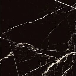 Глазурованный керамогранит Arcadia Ceramica Black Spinder High Gloss 60x60 см 1.44 м² глянцевый цвет черный