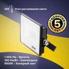 Прожектор светодиодный уличный Ritter Profi 53405 5 10 Вт 1000 Лм 180-240В холодный белый свет 6500К IP65 черный