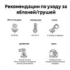 Яблоня Спартан пакет h90 см