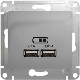 Розетка USBх2 (алюминий) Systeme Electric Glossa GSL000333