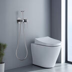 Встраиваемый смеситель с гигиеническим душем Aquatek Европа AQ1319CR хром