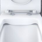 Унитаз-компакт Damixa Sirius DX86C8600SC белый, с крышкой микролифт