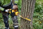 Аккумуляторная цепная пила DEWALT DCMCS574N, 54 В, 45 см, 15 м/с, без АКБ и ЗУ (DCMCS574N-XJ)