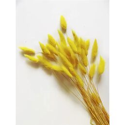 Букет из сухих цветов Лагурус желтый h70 см