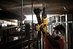 Аккумуляторный перфоратор DEWALT DCH133P1, 18 В, 2.6 Дж, 5500 уд/мин, с АКБ 5 Ач и ЗУ (DCH133P1N-XJ)
