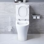 Унитаз-компакт Damixa Sirius DX86C8600SC белый, с крышкой микролифт