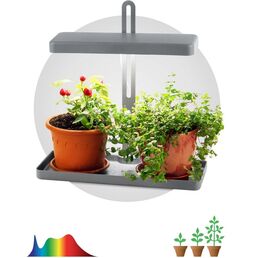 Светильник для растений светодиодный ЭРА FITO-20W-QLED-G