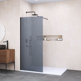 Душевая перегородка Walk-In RGW 70x195 WA-010B стекло тонированное, профиль черный