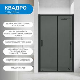 Душевая дверь в нишу 120х195 см. Квадро стекло тонированное, профиль черный