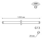 Лампа светодиодная Gauss Glass T8 G13 20 Вт белый свет