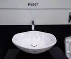 Раковина накладная Bien PENT PNLG04901FD0W3000
D49
