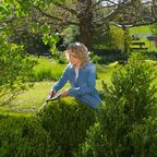 Ножницы садовые Gardena PrecisionCut Boxwood для кустарников