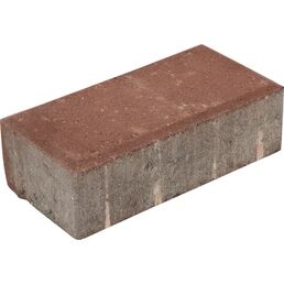 Плитка тротуарная 1.П.6 200x60x100 мм красный