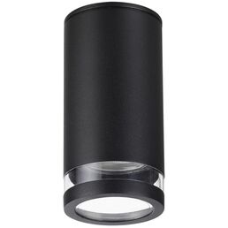 Потолочный светильник IP65 Odeon Light Motto 6605/1C