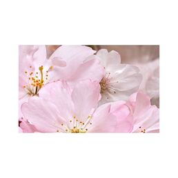 Декоративный массив Belleza Букет СК000010772