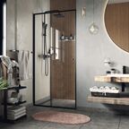 Душевая дверь в нишу Wasserkraft Dill 61S12 стекло прозрачное, профиль черный