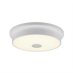 Настенно-потолочный светильник Citilux Фостер-2 CL706220