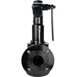 Предохранительный клапан DN.ru safe 7011 D120-01011