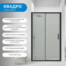 Душевая дверь в нишу 120х195 см. Квадро стекло матовое, профиль черный