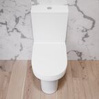 Унитаз-компакт Damixa Skyline DX35C8600SC белый, с крышкой микролифт