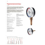 Термоманометр Росма ТМТБ-31Т.1 аксиальный 1/2 НР(ш) 10 бар d80 мм (2292)