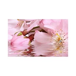 Декоративный массив Belleza Букет СК000010773