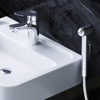 Смеситель для раковины с гигиеническим душем Am.Pm Sunny F85C03000