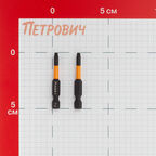 Бита Rage by Vira (554146) TORX T15 магнитная 50 мм торсионная (2 шт.)