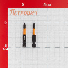 Бита Rage by Vira (554146) TORX T15 магнитная 50 мм торсионная (2 шт.)