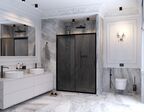 Душевая дверь Ambassador Forsa 120x200 см 17022218ABB стекло тонированное, профиль чёрный